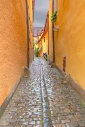 Rothenberg Alley | Obraz na stenu