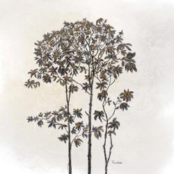 Leafy Treetop | Obraz na stenu