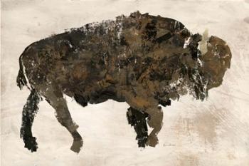 Abstract Buffalo | Obraz na stenu