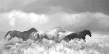 Mustang Herd II BW | Obraz na stenu