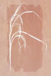 Fall Grasses No. 1 | Obraz na stenu