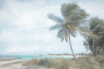 Palm Harbor | Obraz na stenu