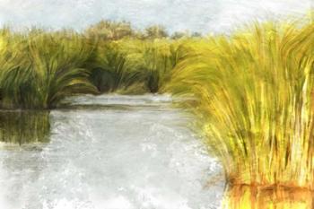 Marshy Wetlands No. 2 | Obraz na stenu