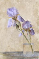 Blue Iris Stem | Obraz na stenu