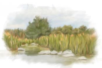 Marshy Wetlands I | Obraz na stenu