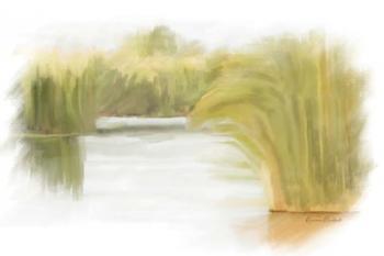 Marshy Wetlands II | Obraz na stenu