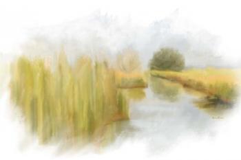Marshy Wetlands V | Obraz na stenu