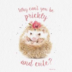 Prickly and Cute | Obraz na stenu