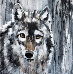 Golden Eye Wolf | Obraz na stenu