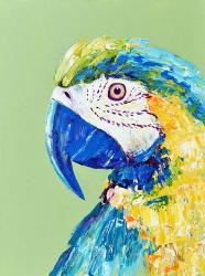 Macaw Parrot | Obraz na stenu