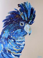 Coco the Cockatoo | Obraz na stenu