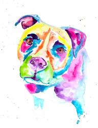 Colorful Pitbull | Obraz na stenu