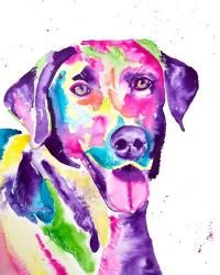 Colorful Black Lab | Obraz na stenu