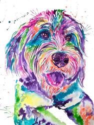 Colorful Bernedoodle | Obraz na stenu