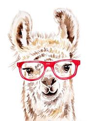 Llama in Glasses | Obraz na stenu
