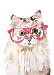 Cat with Glasses | Obraz na stenu