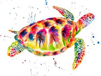 Sea Turtle | Obraz na stenu