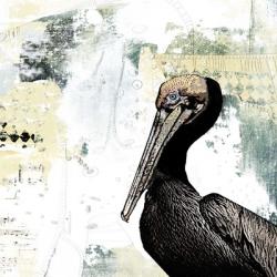 Pelican Palm | Obraz na stenu