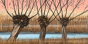 Trees and Reeds | Obraz na stenu