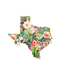 Texas Floral Collage III | Obraz na stenu