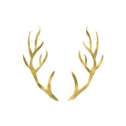 Gold Antlers | Obraz na stenu