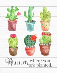 Bloom Where You Are Planted | Obraz na stenu