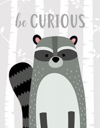Be Curious Raccoon | Obraz na stenu