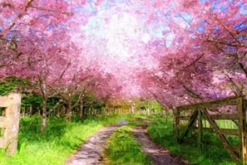 Cherry Blossom Lane | Obraz na stenu