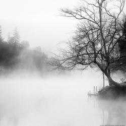 Fog on the Lake | Obraz na stenu