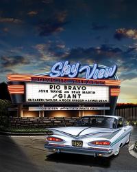 Skyview Drive In | Obraz na stenu