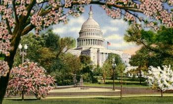 US Capitol | Obraz na stenu