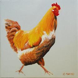 Blonde Chicken | Obraz na stenu