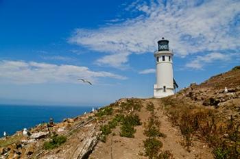 Lighthouse VI | Obraz na stenu