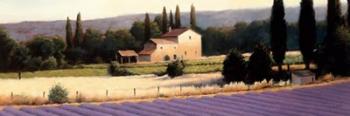 Lavender Fields Panel II | Obraz na stenu