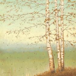 Golden Birch II with Blue Sky | Obraz na stenu