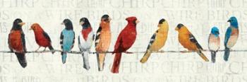 The Usual Suspects - Birds on a Wire | Obraz na stenu
