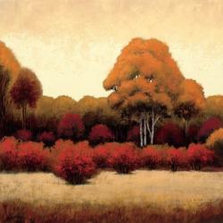 Autumn Forest I | Obraz na stenu
