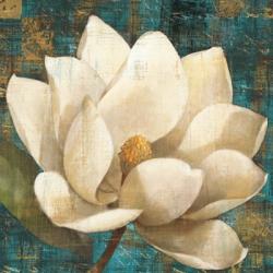 Magnolia Blossom Turquoise | Obraz na stenu