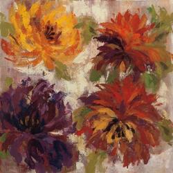 Fiery Dahlias I | Obraz na stenu