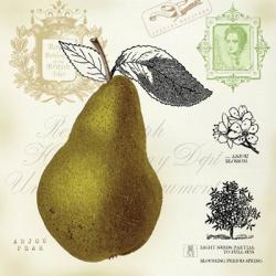 Pear Notes | Obraz na stenu