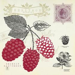 Raspberry Notes | Obraz na stenu