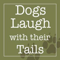 Dogs Laugh with their Tails | Obraz na stenu