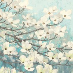Dogwood Blossoms II | Obraz na stenu