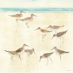 Sandpipers | Obraz na stenu