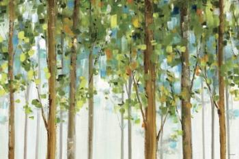 Forest Study I Crop | Obraz na stenu