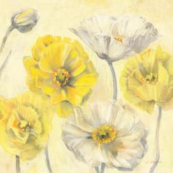 Gold and White Contemporary Poppies II | Obraz na stenu