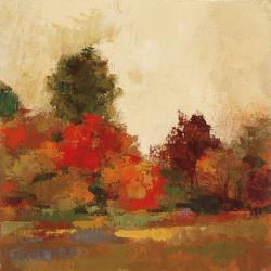 Fall Forest III | Obraz na stenu