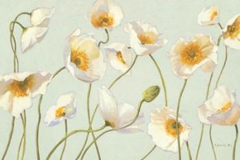 White and Bright Poppies | Obraz na stenu