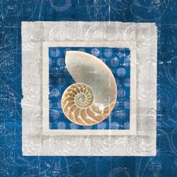 Sea Shell II on Blue | Obraz na stenu