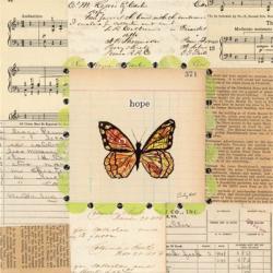 Hope Butterfly | Obraz na stenu